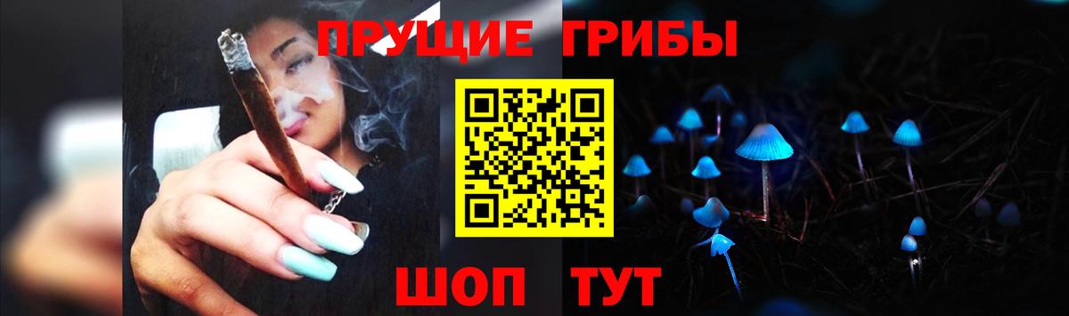 Псилоцибиновые грибы Psilocybine cubensis Белогорск